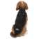 Hi-Line Gift Ltd. Beagle Dog Sitting Statue & Reviews | Wayfair